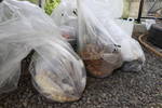 Students Lead Effort to Keep Campus Clean Thumbnail