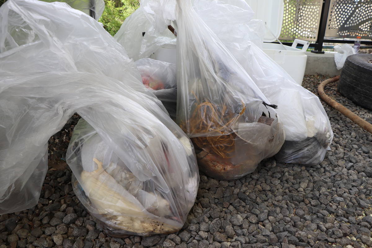 Students Lead Effort to Keep Campus Clean 
